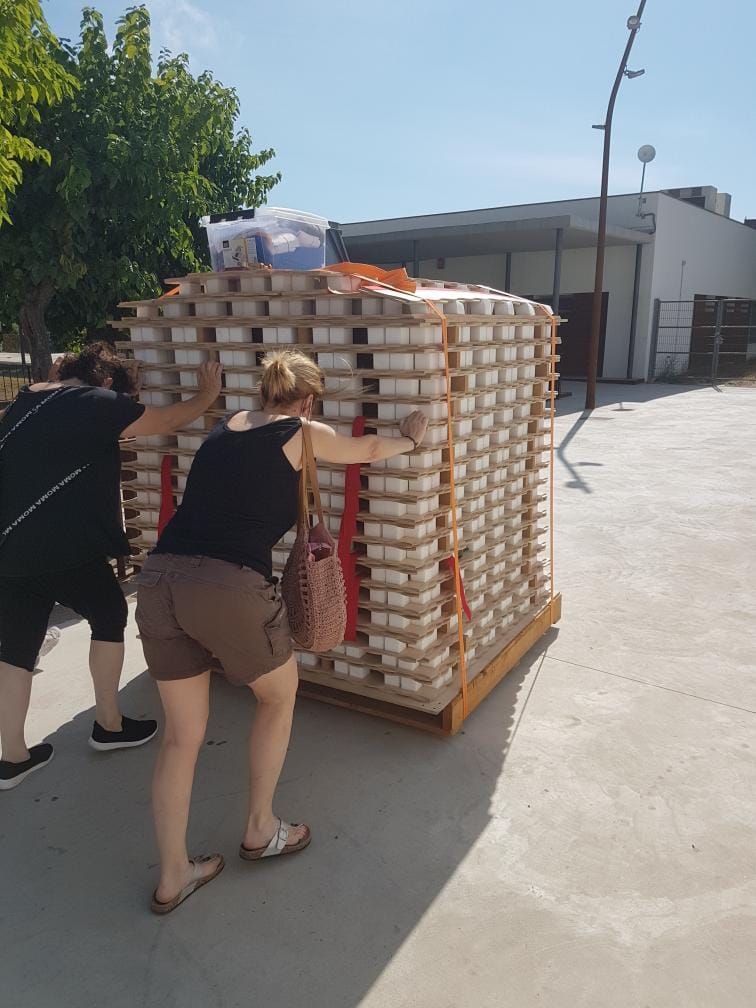 Tatami gimnàs nucli antic Calafell