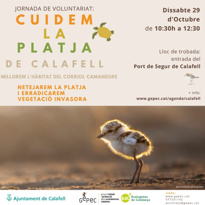 Cuidem la platja de Calafell