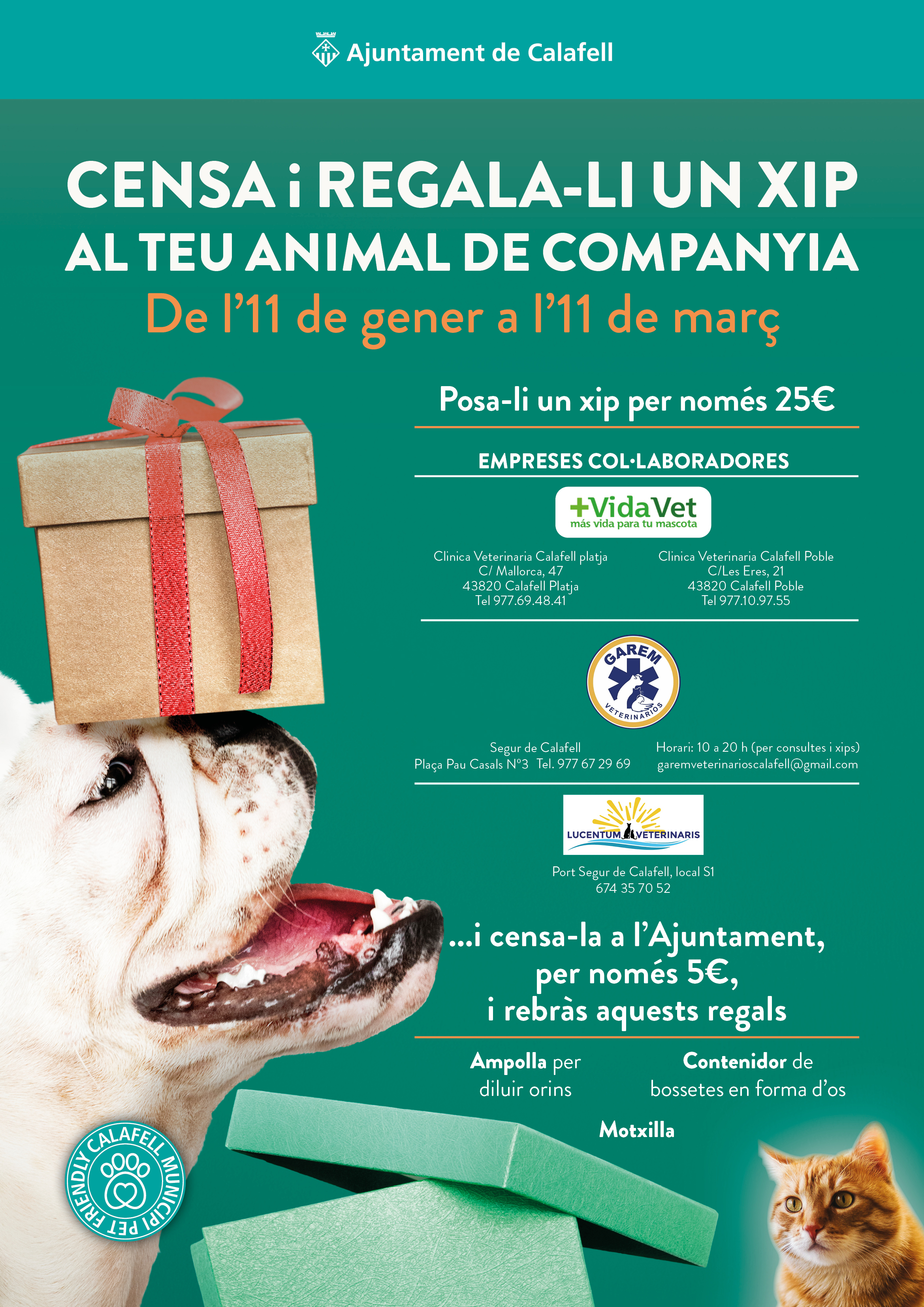 Cartell campanya xip i cens animals de companyia