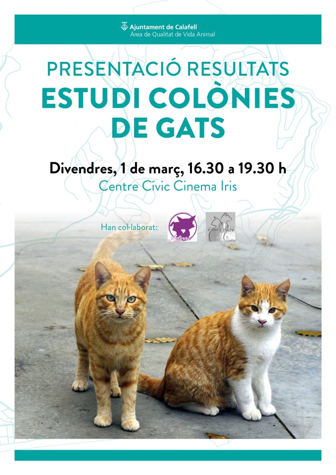 Presentació resultats estudi colònies de gats