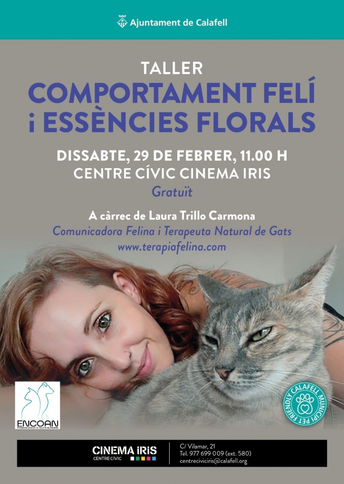 Taller de comportament felí i essències florals