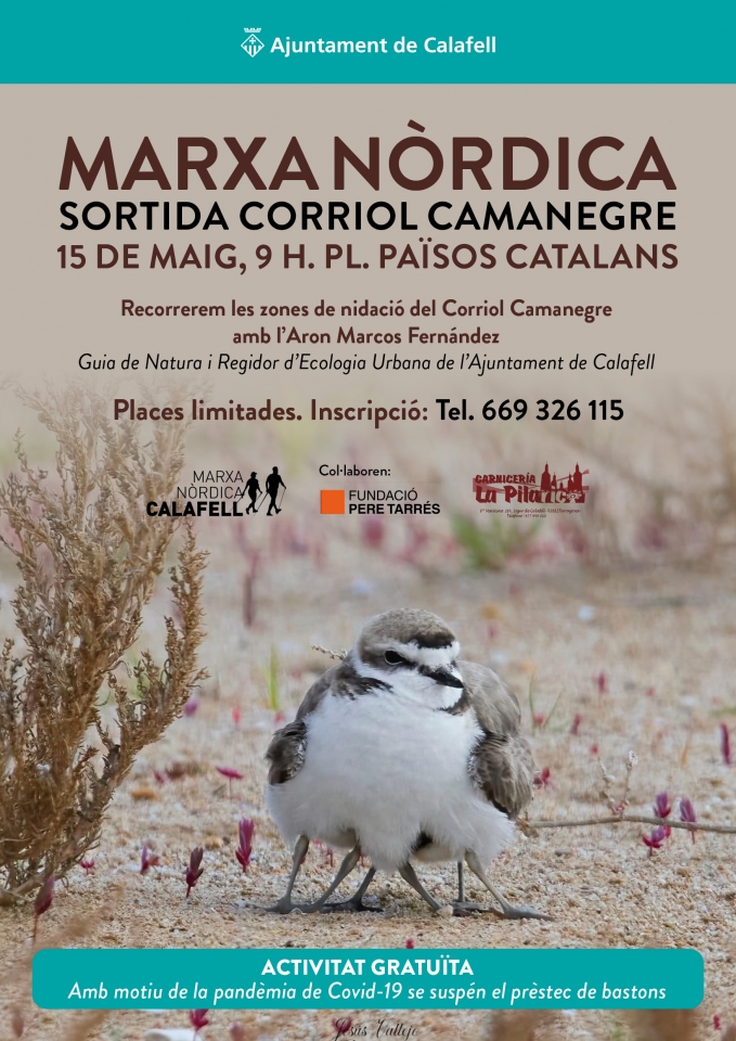 Cartell amb foto del Corriol Camanegre