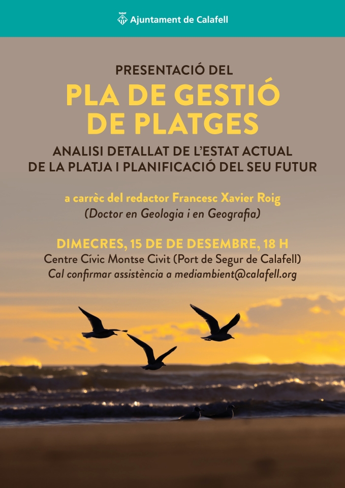 Cartell amb la platja de fons i tres ocells volant